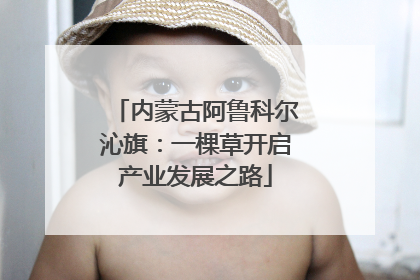 内蒙古阿鲁科尔沁旗：一棵草开启产业发展之路
